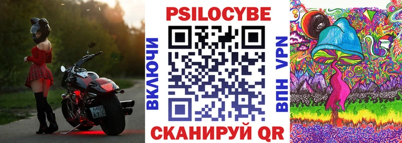 дарк нет официальный сайт  Тотьма  Галлюциногенные грибы Psilocybe 