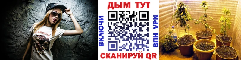 Бошки Шишки MAZAR  Тотьма 